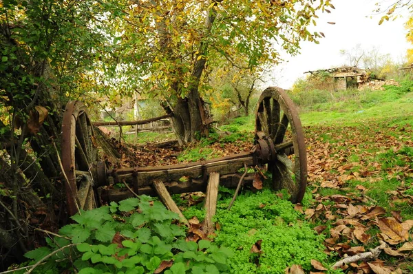 大自然中一辆被遗弃的马车 — 图库照片