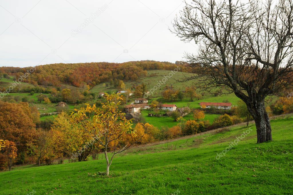 The village named Karanlik Koy ( dark village) in Demirkoy district of Kirklareli province,Turkey.
