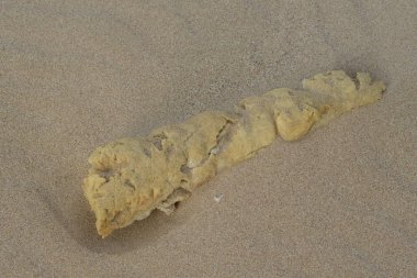 19.Şubat.2017 İstanbul Sahilde birçok atık var. Çevre kirliliği.