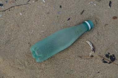 19.Şubat.2017 İstanbul Sahilde birçok atık var. Çevre kirliliği.