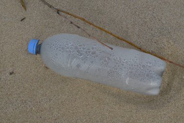 19.Şubat.2017 İstanbul Sahilde birçok atık var. Çevre kirliliği.