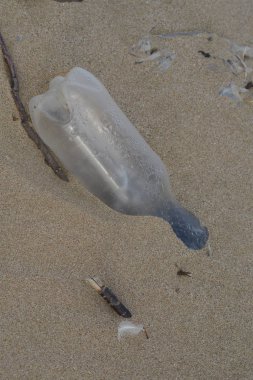 19.Şubat.2017 İstanbul Sahilde birçok atık var. Çevre kirliliği.