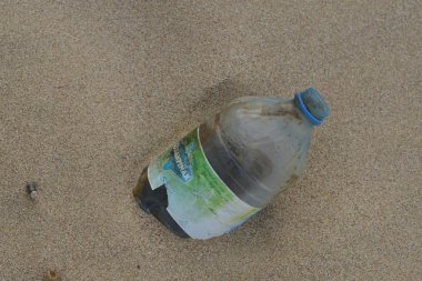 Sahilde birçok tür rejectamenta