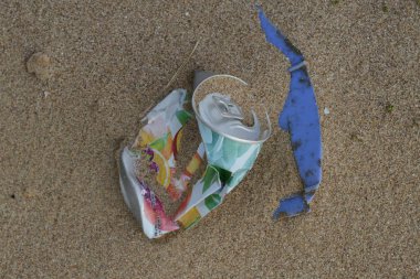 Sahilde birçok tür rejectamenta