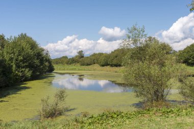Yukari Koyunlu köyündeki Curukgol Savsat Artvin Türkiye