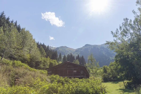 Yukari Koyunlu Village Svsat Artvin Turkey — Stock Photo, Image