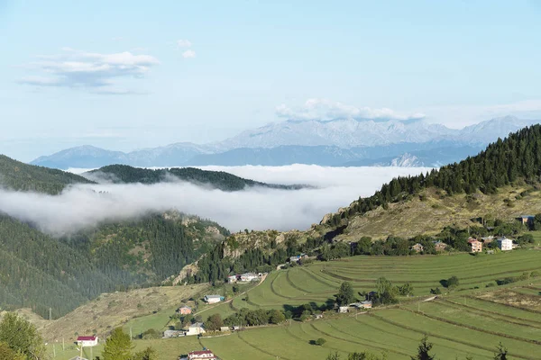 Türkiye Nin Artvin Ilinin Sahra Bölgesi — Stok fotoğraf