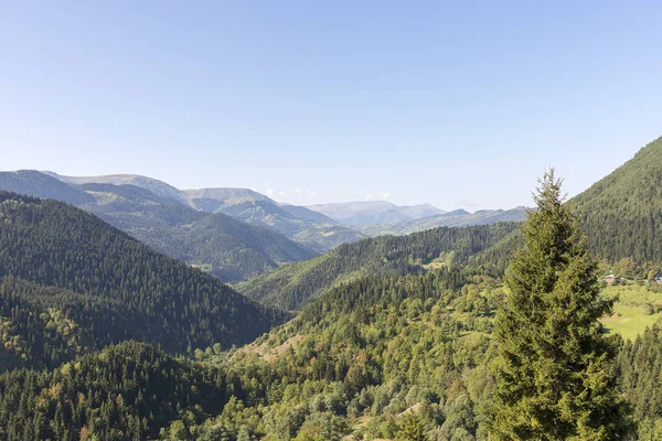 Türkiye Nin Artvin Ilinin Sahra Bölgesi — Stok fotoğraf