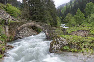 Dumanlı (Santa), Trabzon ili sınırına yakın, Gümüşhane'de orta boy bir topluluktu..