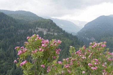 Selge Antik Kenti, Oluk Köprüsü'ne, Koprulu Kanyonu'na 11 km uzaklıktadır.. 