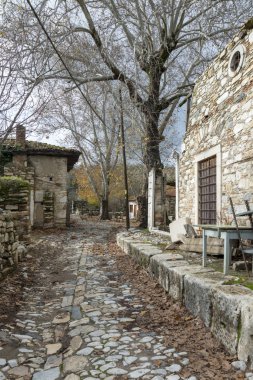 Stratonikeia, Karya Bölgesi'nin içinde yer alan antik bir kenttir. Günümüzde Eskihisar Köyü 'nde (Muğla İli) bulunmaktadır.).