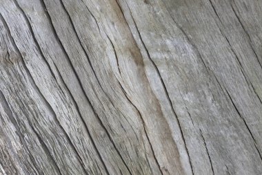 Arka plan için ahşap desenli wallas.