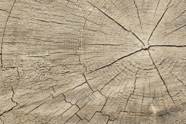 Arka plan için ahşap desenli wallas.