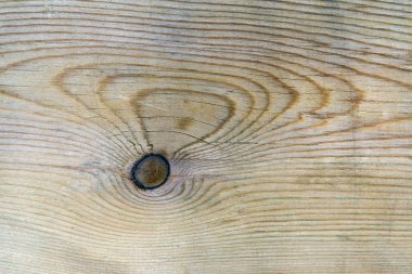 Arka plan için ahşap desenli wallas.