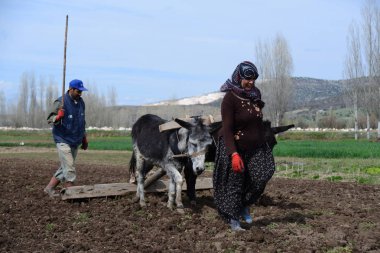 14 Nisan 2013 Beysehir Konya. Beyşehir ilçesia bağlı Adaköy Köyü'nde geleneksel yöntemle bir çift katırile çiftçilik yapan bir çift.