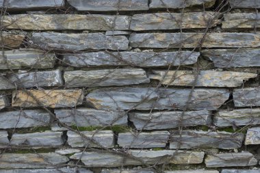 Bahçe duvarı tasarımı için kullanılan çatlak kayaçlar tarafından yapılan kayalık arka plan.