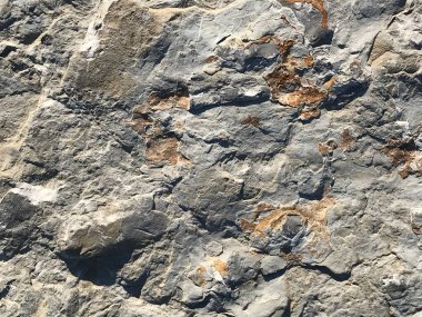 Doğal taşın dokusu