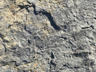 Arka plan için doğal kaya dekstürü