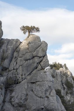 Termessos, Toros Dağları'ndaki Solymos Dağı'nın güneybatı tarafında 1000 metreden daha yüksek bir yükseklikte inşa edilmiş bir Pisidian şehridir .)