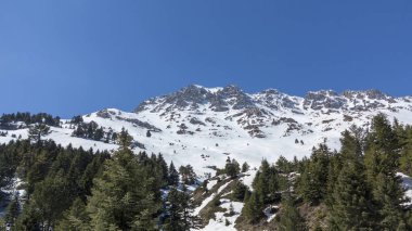 Toros Dağları, Türkiye'nin güneyinde, Akdeniz kıyı bölgesini birbirinden ayıran bir dağ kompleksidir..
