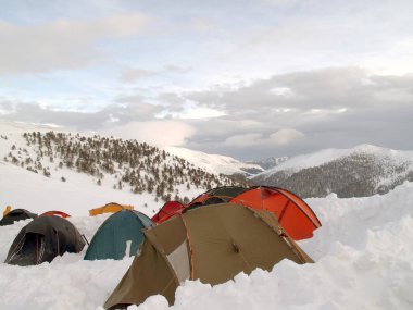 Türkiye'nin Trabzon ilinde Zigana Dağı'nda kar kampı                             