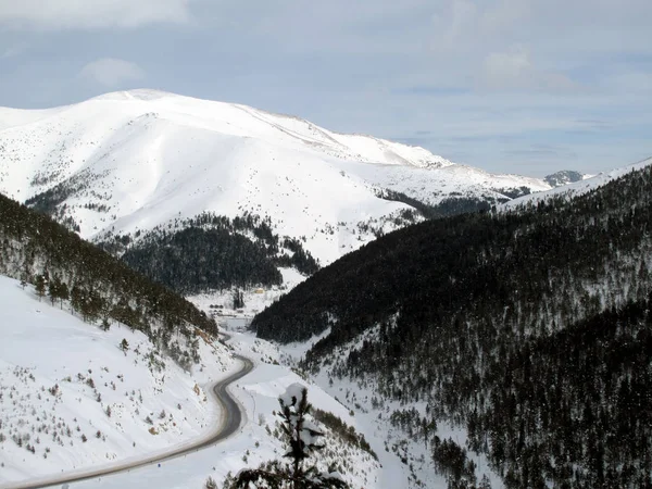 Χιονοκατασκήνωση Στο Όρος Ζικάνα Στην Περιοχή Μάμπα Της Τραπεζούντας Τουρκία — Φωτογραφία Αρχείου