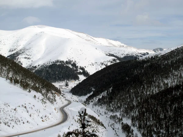 Schneelager Auf Dem Berg Zigana Bezirk Macka Der Provinz Trabzon — Stockfoto