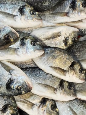 Pazarda balık türü