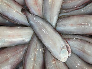 Pazarda balık türü