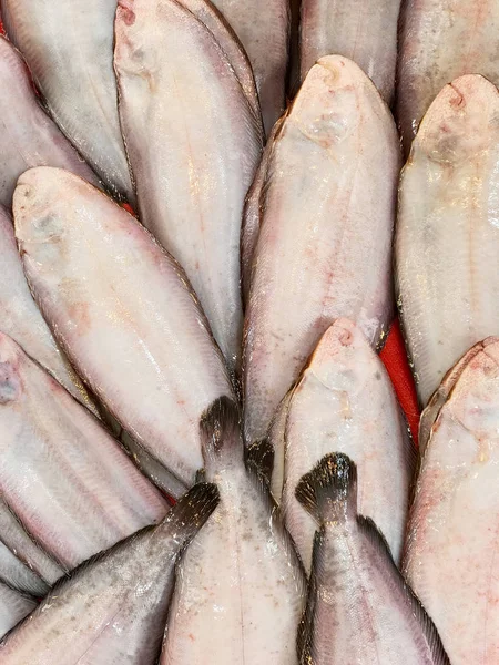 市場の魚の種類 — ストック写真