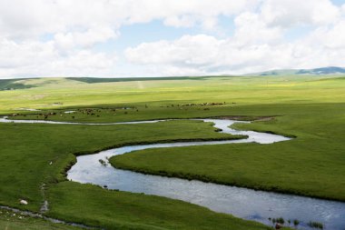 Ani, Ermenistan ile kapalı sınırın yanında, Türkiye'nin Kars ilinde yer alan harap bir ortaçağ Ermeni şehridir..