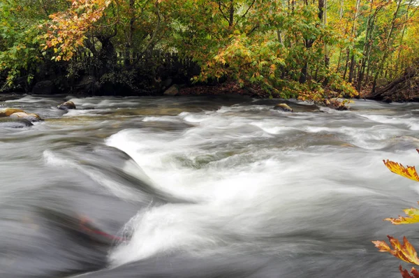 Fiume Che Scorre Nell Autunno — Foto Stock