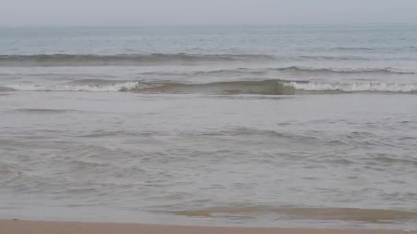 Sandy Beach Spending Time — Stock Video