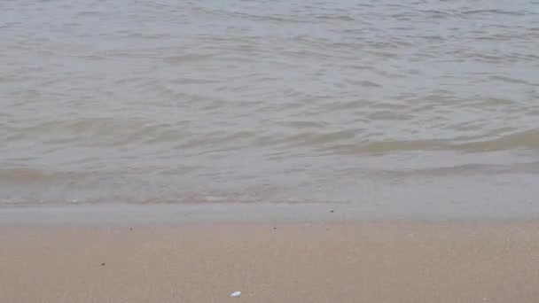 時間を過ごすための砂浜 — ストック動画