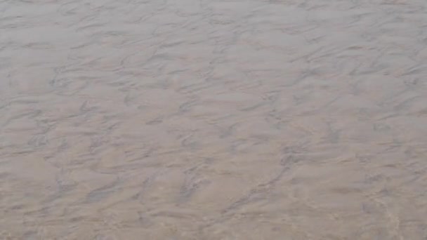 Песчаный Пляж Проведения Времени — стоковое видео