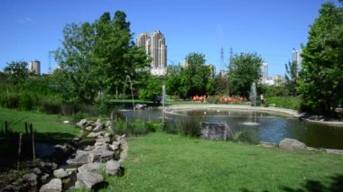 Bahçedeki güzel, taze çiçekler