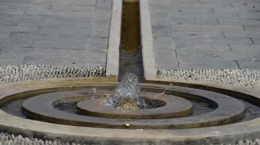 Bahçedeki güzel, taze çiçekler