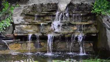 Bahçedeki güzel, taze çiçekler