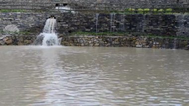 Bahçedeki güzel, taze çiçekler