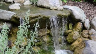 Bahçedeki güzel, taze çiçekler