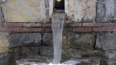 Bahçedeki güzel, taze çiçekler