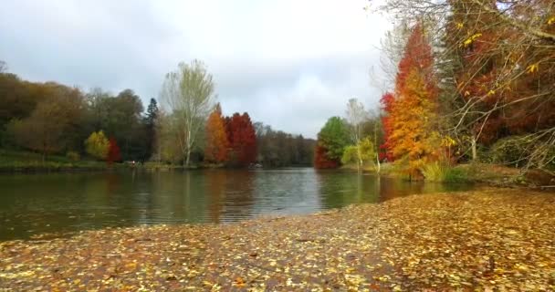 Atatrk Arboretum Egy Arborétum Baheky Saryer Isztambul Tartomány Törökország — Stock videók