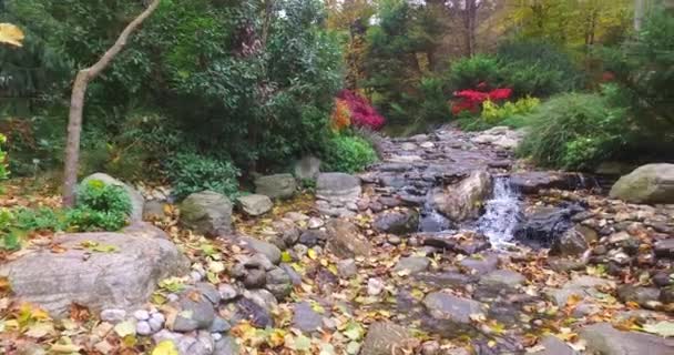 Atatrk Arboretum Является Arboretum Baheky Saryer Istanbul Province Turkey — стоковое видео