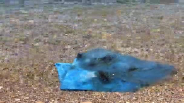 Belle plage polluée avec des déchets .