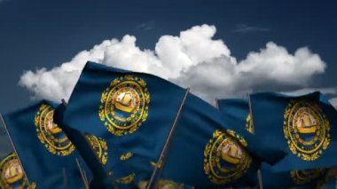 New Hampshire Devlet bayrakları (kesintisiz ve alfa kanalı sallayarak)