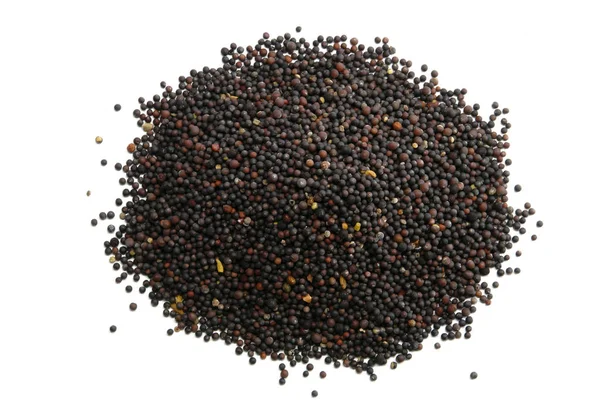 Black Mustard Seed White Background — Stock Photo, Image