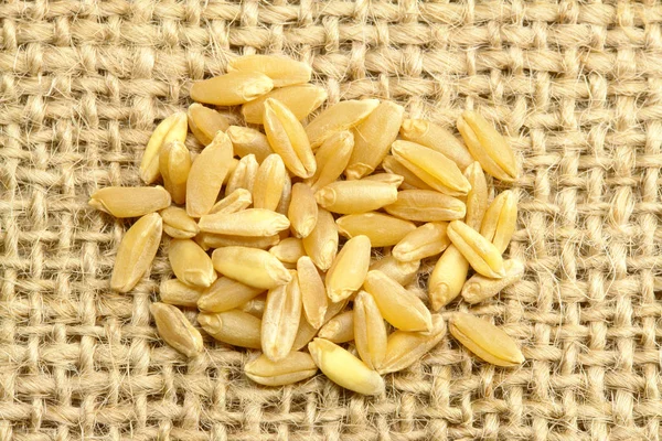Пшеница Мешковине Вид Сверху — стоковое фото