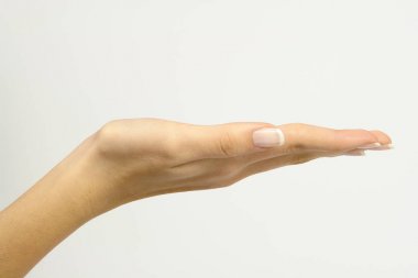 Women Hand for Presentations