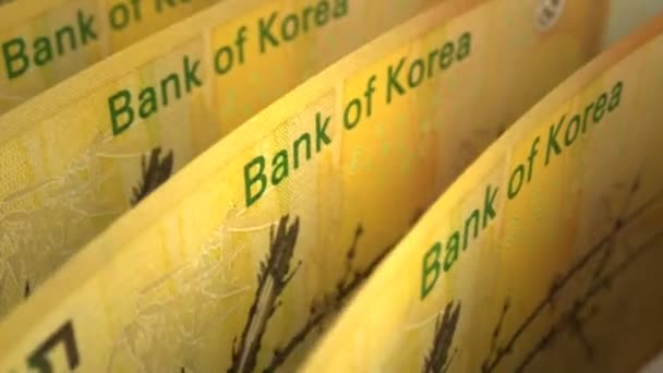 Vinto Coreano Del Sud Primo Piano Senza Soluzione Continuità — Video Stock