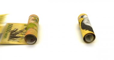 Güney Kore Wonlu Araba Finansmanı